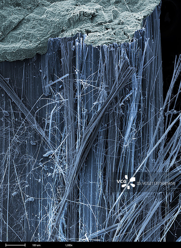 石棉扫描电镜图图片素材