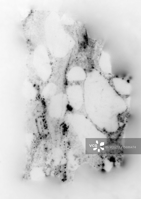 铀矿石砾岩辐射图片素材