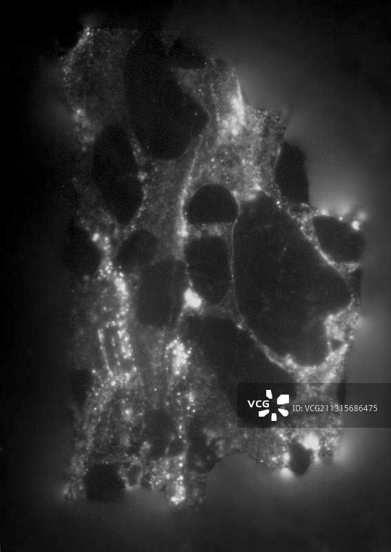铀矿石砾岩辐射图片素材