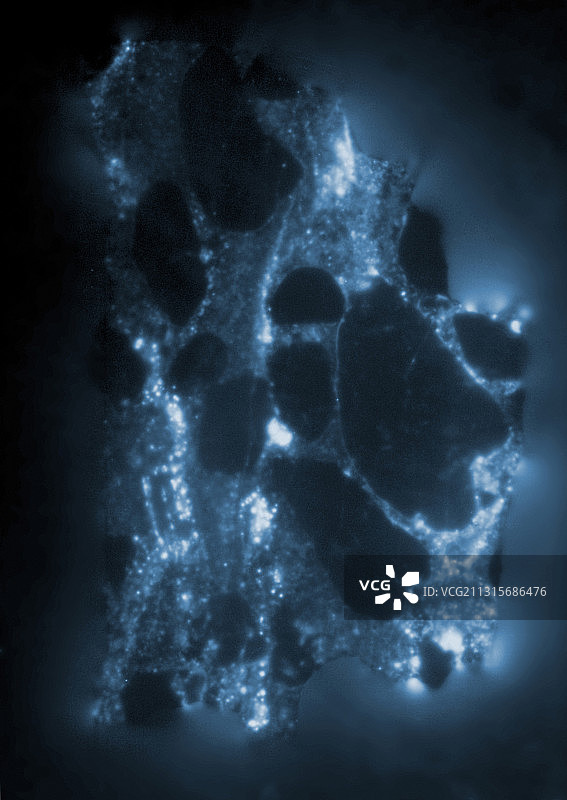 铀矿石砾岩辐射图片素材