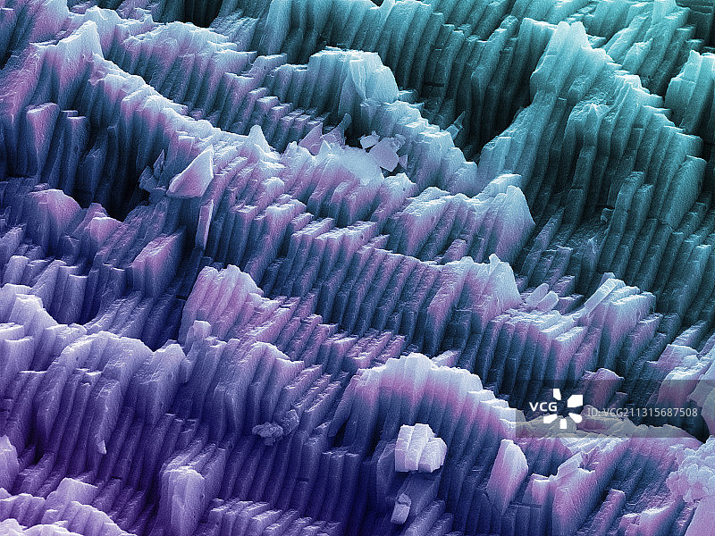 蓝贻贝壳的扫描电子显微镜照片图片素材