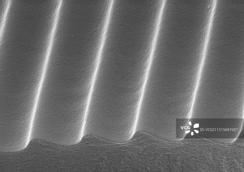 衍射光栅 (SEM)图片素材