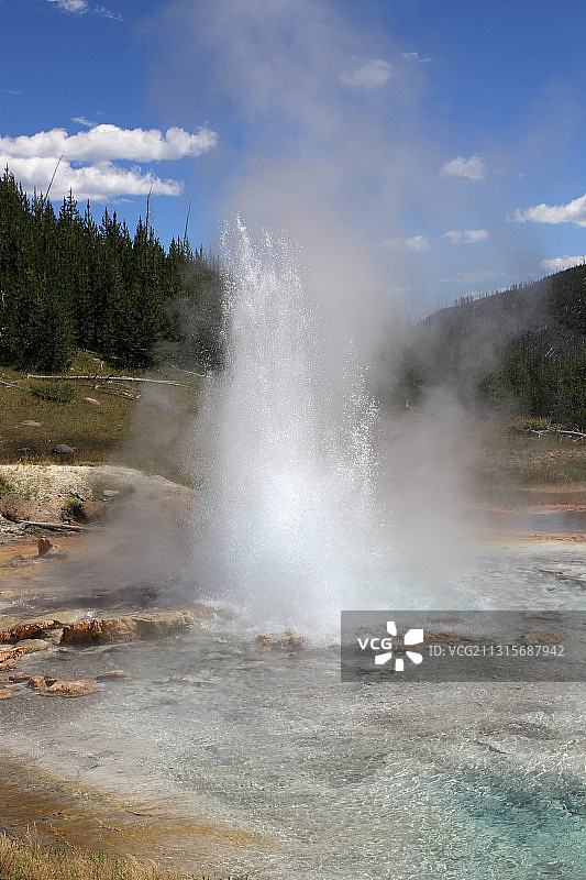 黄石国家公园的帝王间歇泉图片素材