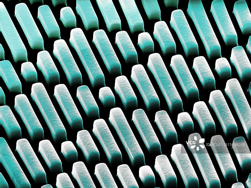 鲨革材料的扫描电子显微镜图图片素材