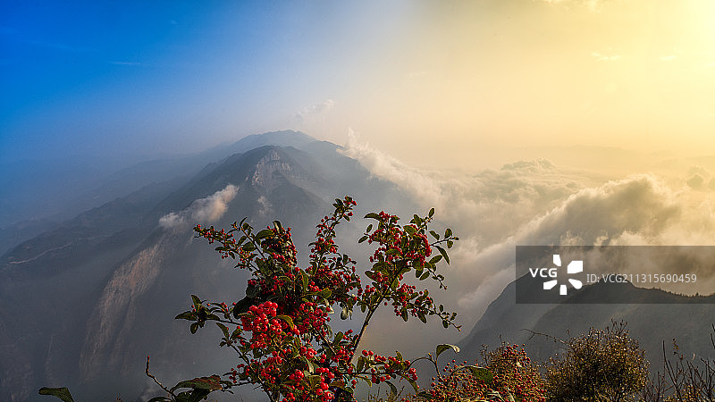 重庆：巫山红叶似彩霞  层林尽染美如画图片素材