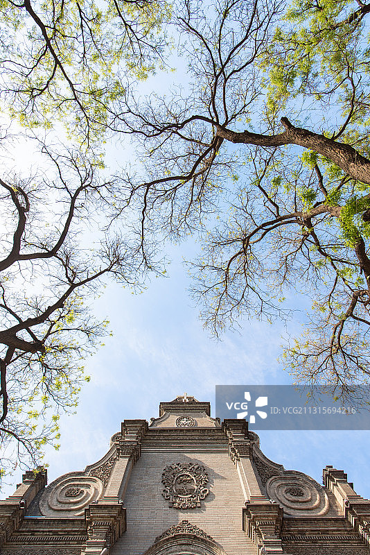 春季北京市西城区宣武门天主教堂外立面和发芽的树仰拍图片素材