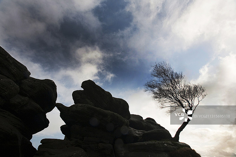 英国约克郡尼德代尔布里姆哈姆岩的弯曲树木图片素材