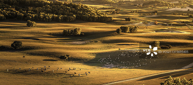 金秋内蒙古坝上美如画 克什克腾旗迎最美秋天图片素材