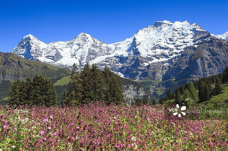 Eiger, 3970米，Moench, 4107米，Jungfrau, 4158米，berese Oberland，瑞士，欧洲图片素材