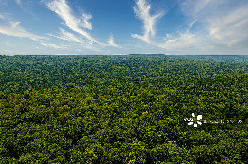 黑龙江伊春小兴安岭森林俯瞰全景风光图片素材