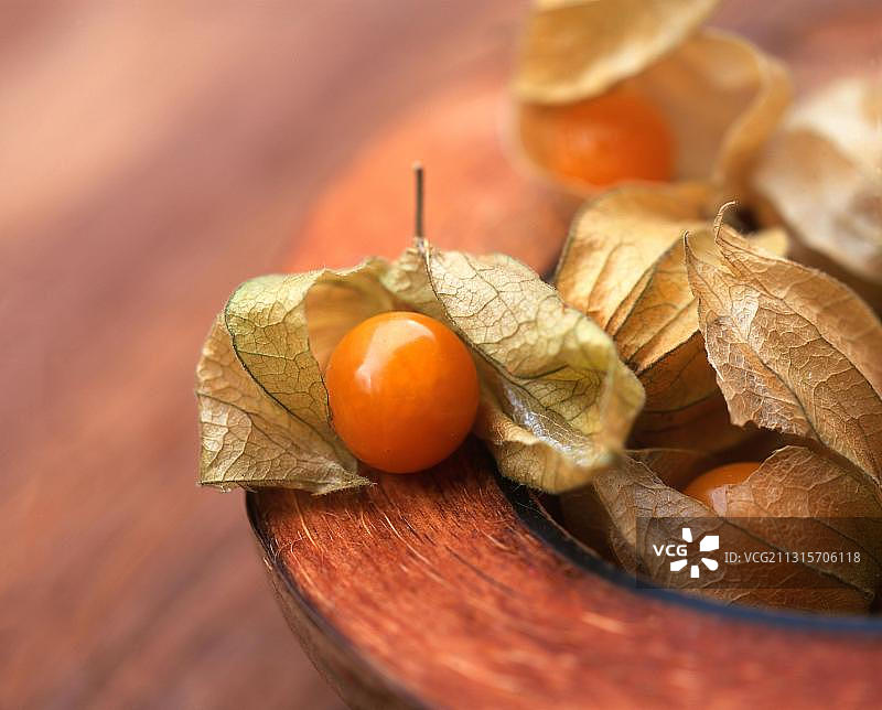 带壳秘鲁酸浆图片素材