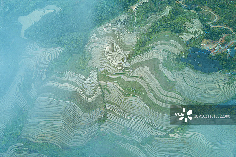 桂林龙胜县龙脊梯田，全球重要农业文化遗产，云雾中梯田宛若游龙图片素材