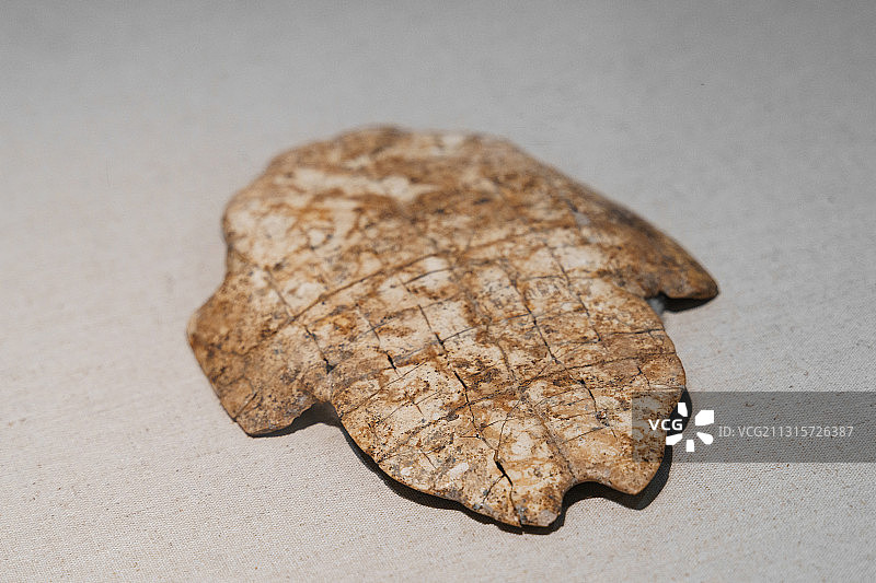 河南安阳中国文字博物馆馆藏文物卜甲图片素材