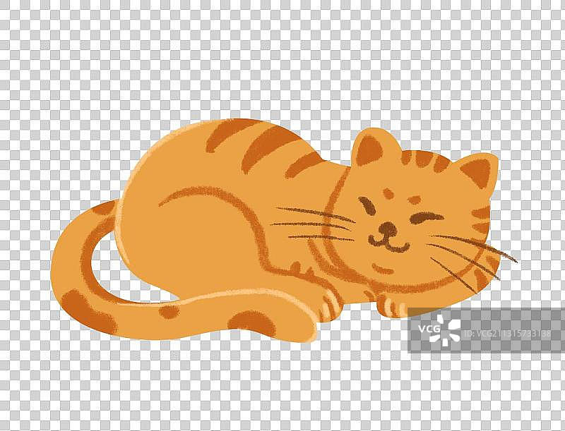 动物橘猫图片素材
