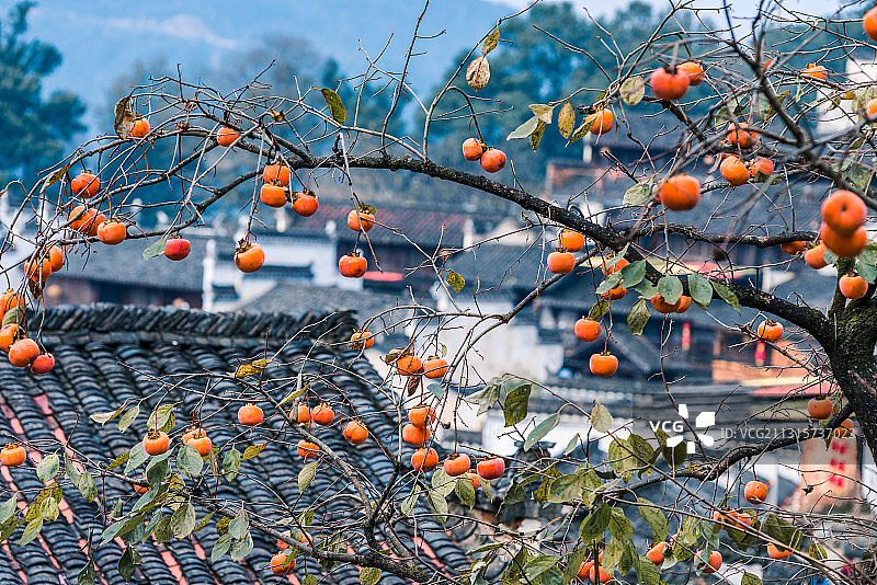 徽州秋色图片素材