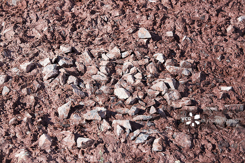 南极Joinville岛：阿德利企鹅巢穴中的鸟粪图片素材