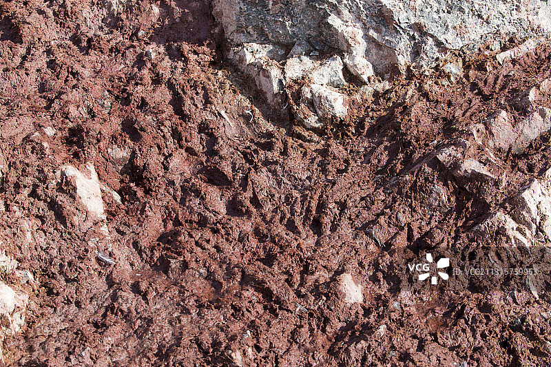 南极洲Joinville岛西端Suspiros湾Madder悬崖，阿德利企鹅群中的鸟粪图片素材