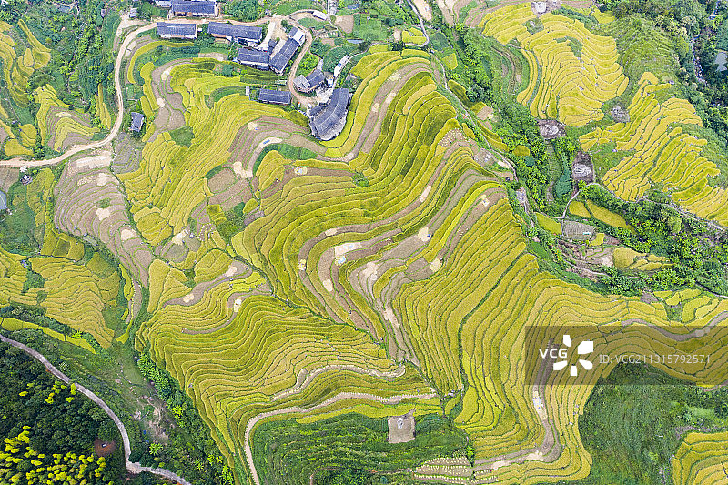 航拍土楼梯田 福建龙岩永定图片素材