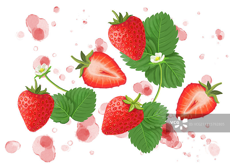草莓水果写实风格插画图片素材