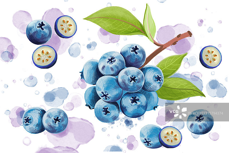 蓝莓水果插画图片素材