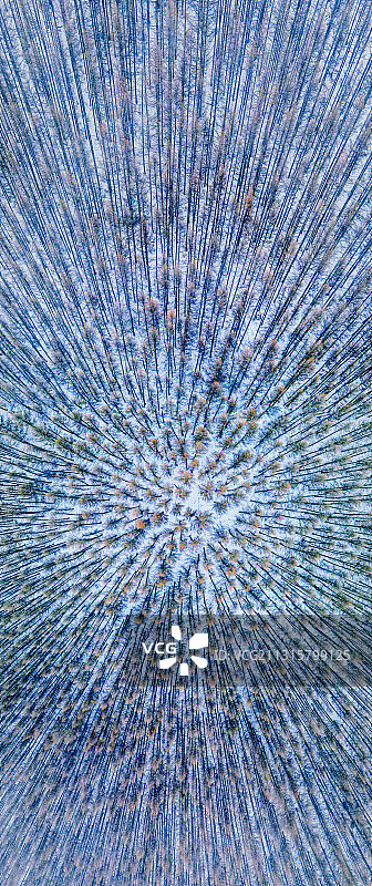 冬日之林海图片素材