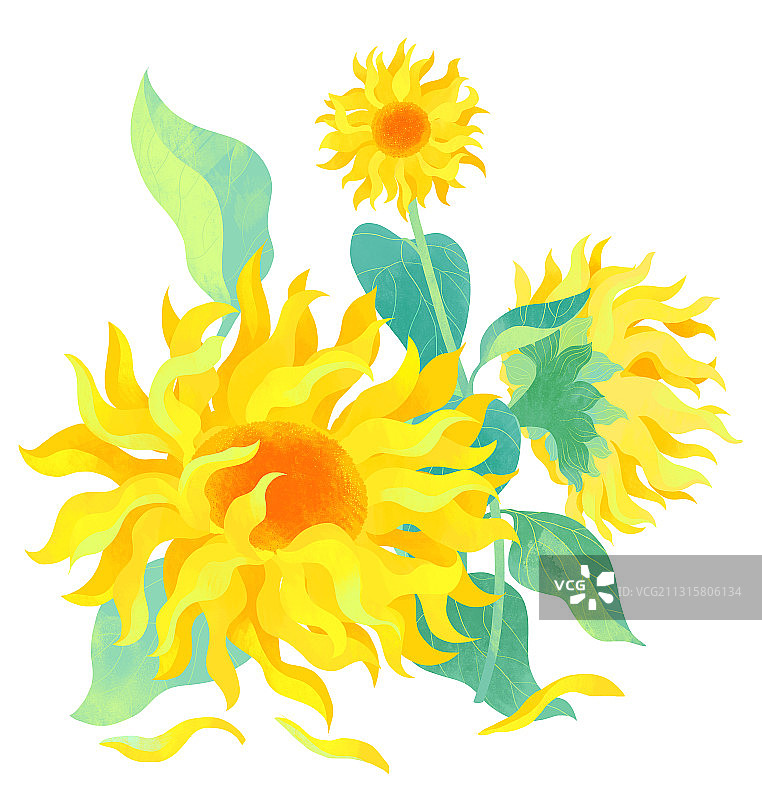 七月盛开的向日葵手绘插画图片素材