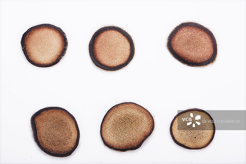 鹿茸 蜡片 土特产 梅花鹿东北 野生 骨质 鹿茸血 冲泡图片素材