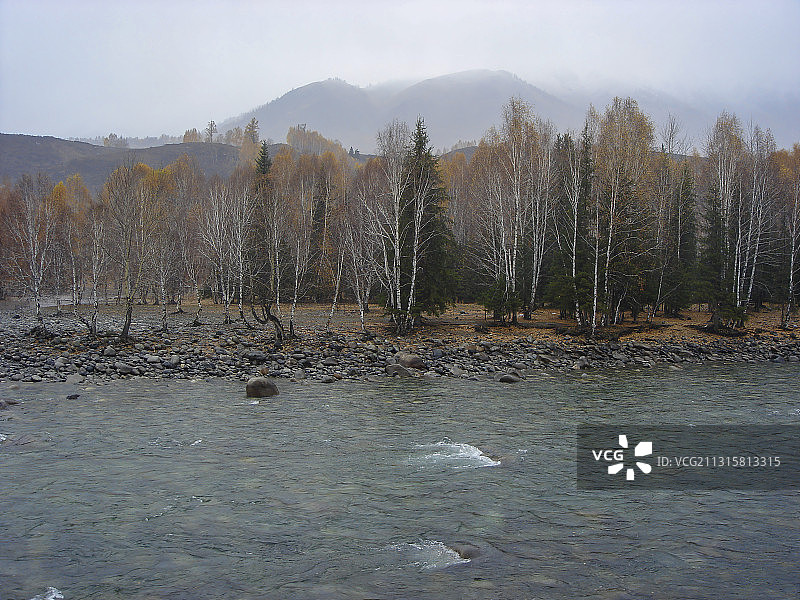 中国新疆阿勒泰布尔津，禾木草原和秋林风光图片素材