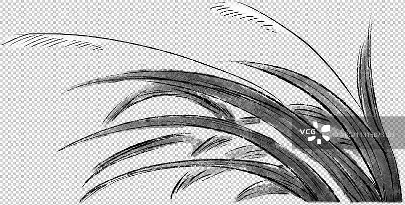 芦苇元素图片素材