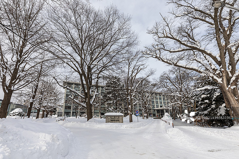 北海道大学图片素材