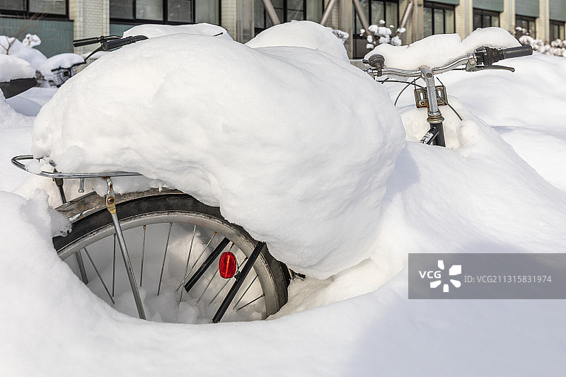 北海道大学图片素材