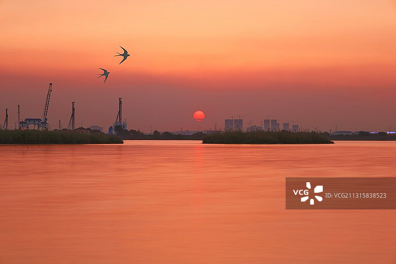 二月待春来图片素材