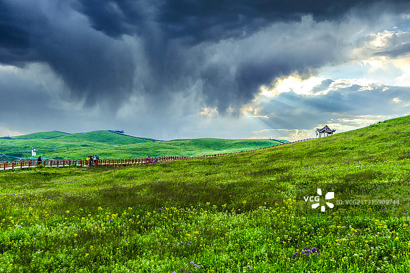 贵州阿西里西韭菜坪坝上风景图片素材
