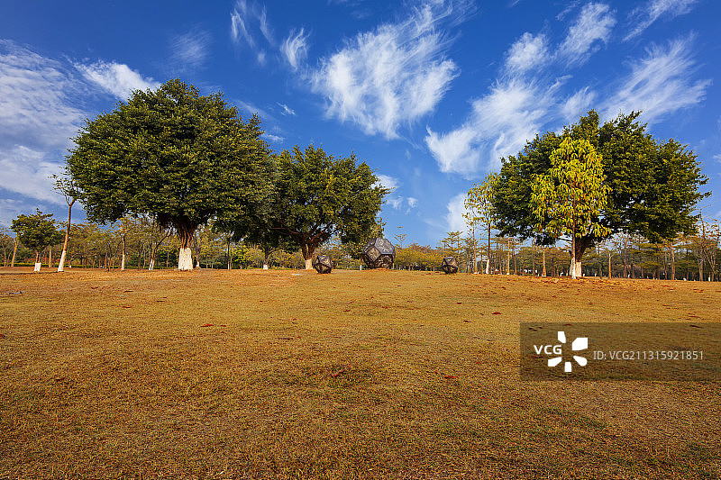 蓝天白云下的公园草地图片素材