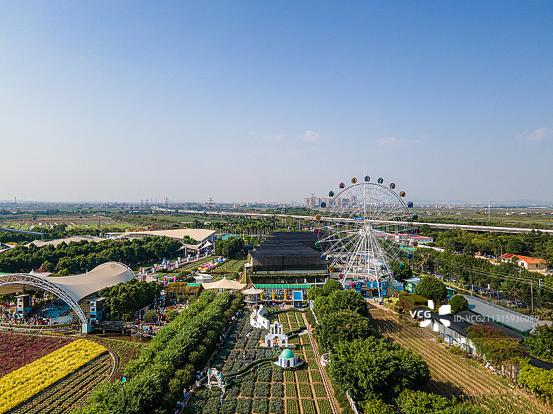 航拍广州市南沙区百万葵园景区图片素材