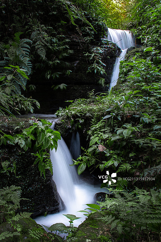 密林溪水图片素材