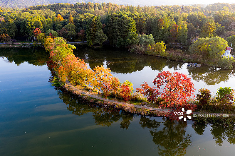 南京中山植物园秋色图片素材
