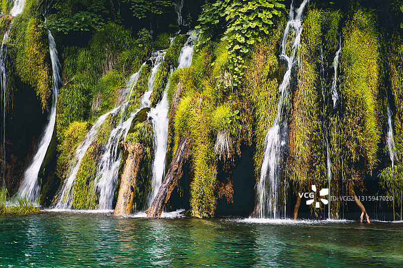 欧洲，克罗地亚，十六湖，国家公园，瀑布，森林图片素材