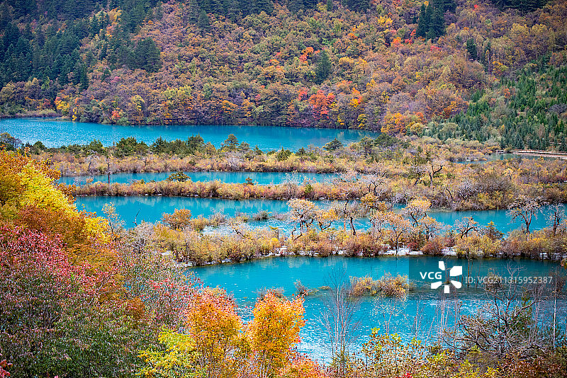 九寨沟树正群海图片素材