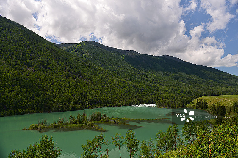 夏天的喀纳斯景区卧龙湾图片素材