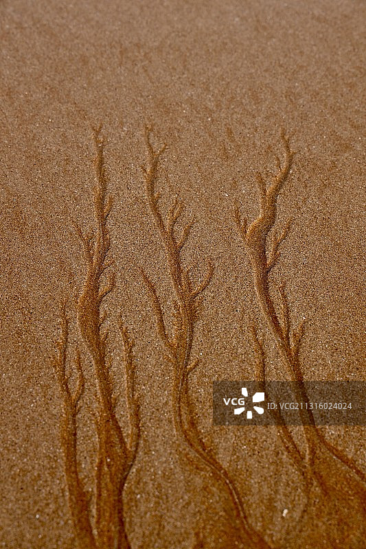 潮水退后的沙滩画图片素材