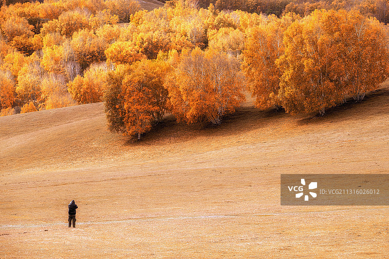 坝上秋色图片素材
