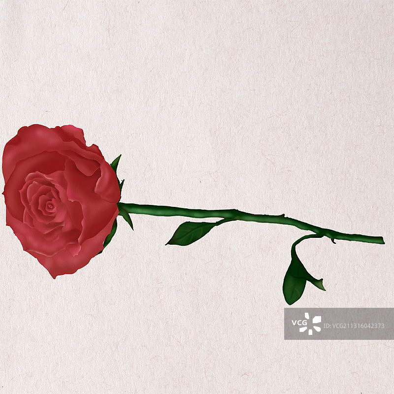 玫瑰口叼花朵红花绿叶带刺蔷薇西班牙舞手绘仿真复古民国风psd图片素材