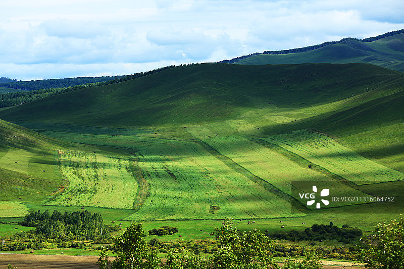 呼伦贝尔垦区山地田野农田图片素材