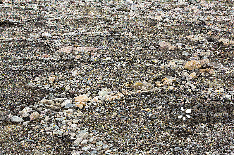 斯瓦尔巴群岛斯匹次卑尔根岛高北极地区冻土层上的图案地面和石圈图片素材