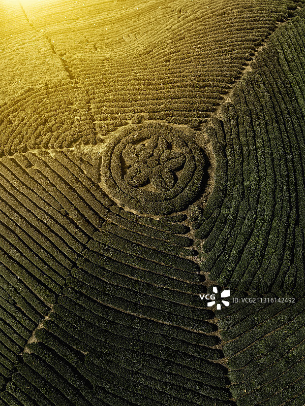 杭州龙井村航拍图片素材