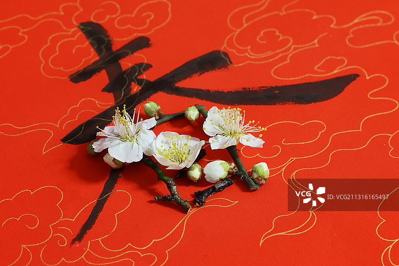 立春，春节概念图片素材