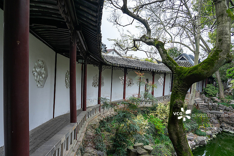 春天，苏州沧浪亭图片素材