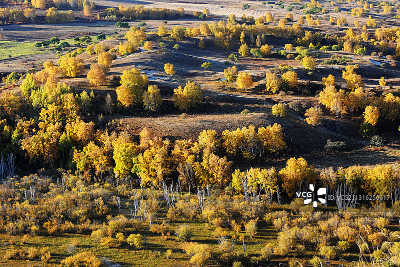 内蒙古乌兰布统，透风沟秋景图片素材