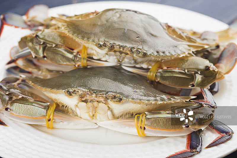 新鲜三眼蟹图片素材